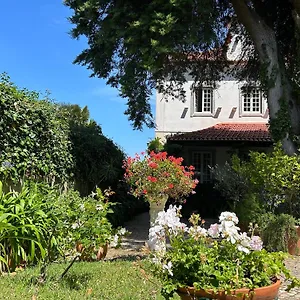 Branca Jacinta , Sintra Portogallo